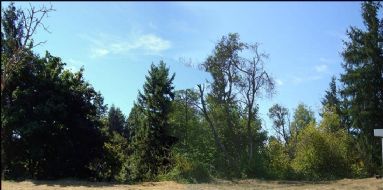 Tacoma Home, WA Real Estate Listing
